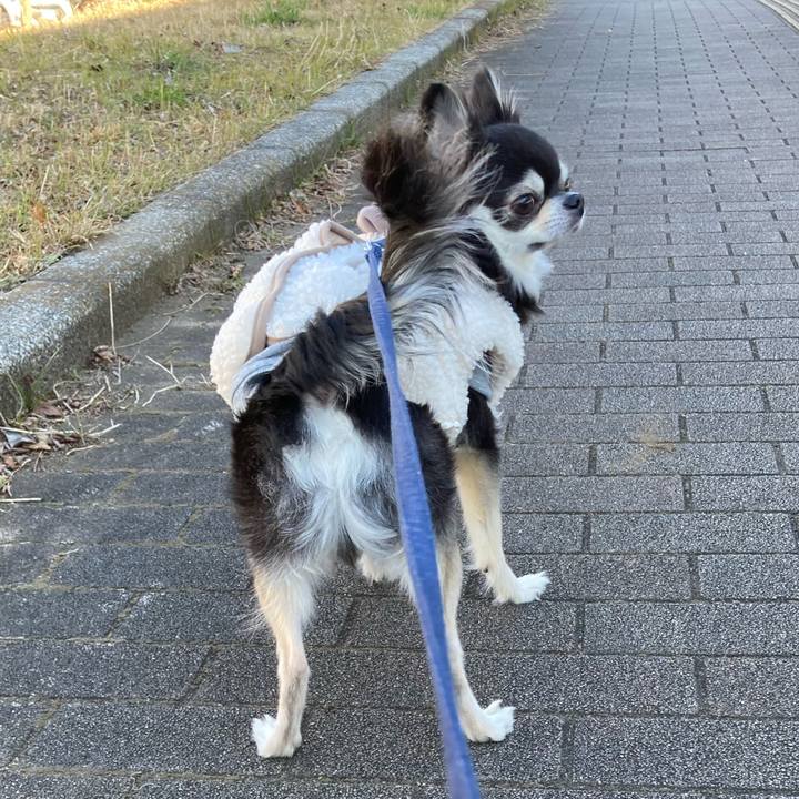 A53abf00 5687 45e3 a334 15680f7e2619 1674919156117