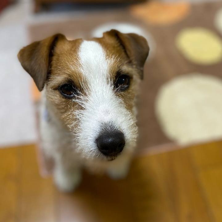 A53ae077 5929 4f24 8d05 151eaf7cb5d6 1741818488072