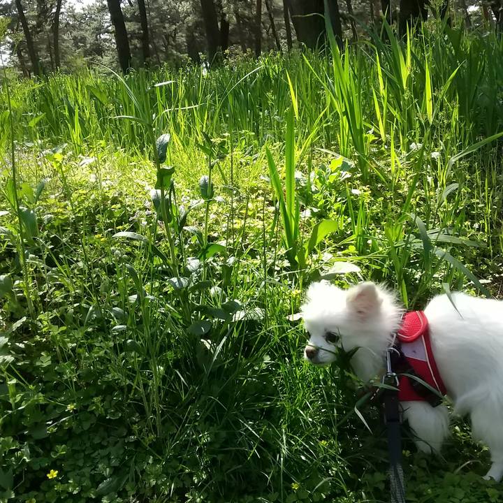 A53b42d9 8352 4384 a1b4 59d74040daaf 1651843492957