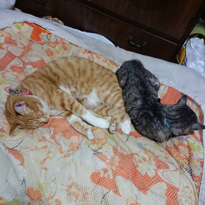 A53b51e1 714e 4427 97f5 b1e48095ca84 1571491121064