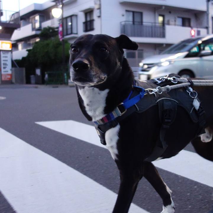 A53b58b2 3f80 4fd9 8126 587f0efa4b53 1651315408352