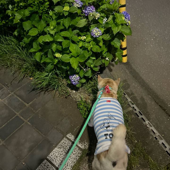 A53b6cb9 842c 4081 ae95 f727ee738c21 1747751631287