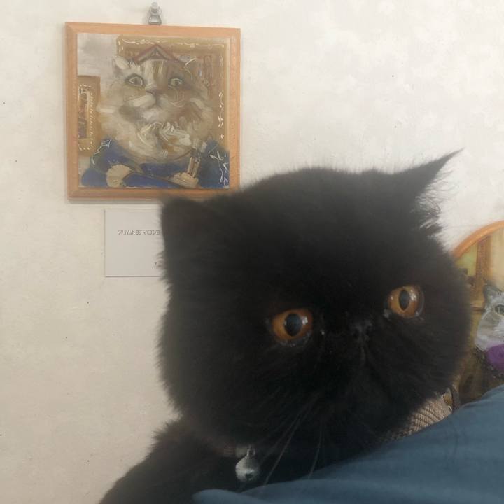 A53b7e04 2b92 4e0b 945a 630df4817145 1687675715000