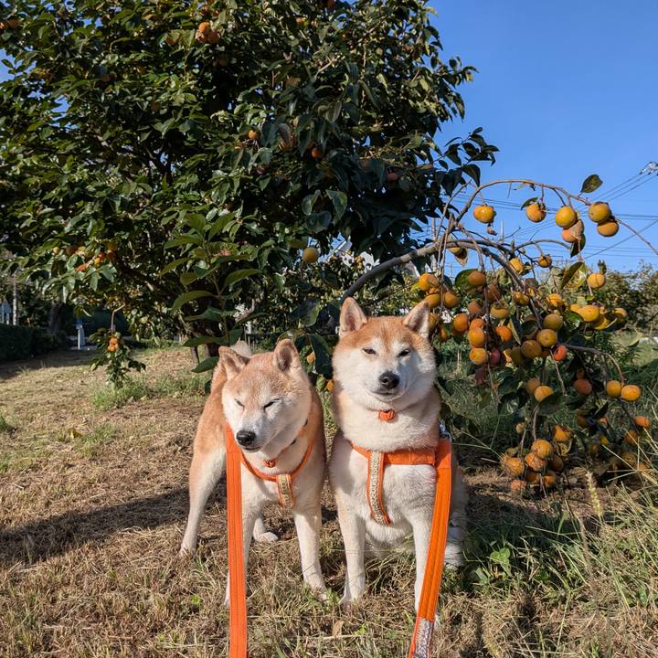 A53b9693 ca0f 49f2 86a3 d5bfa3af03bd 1759889913442