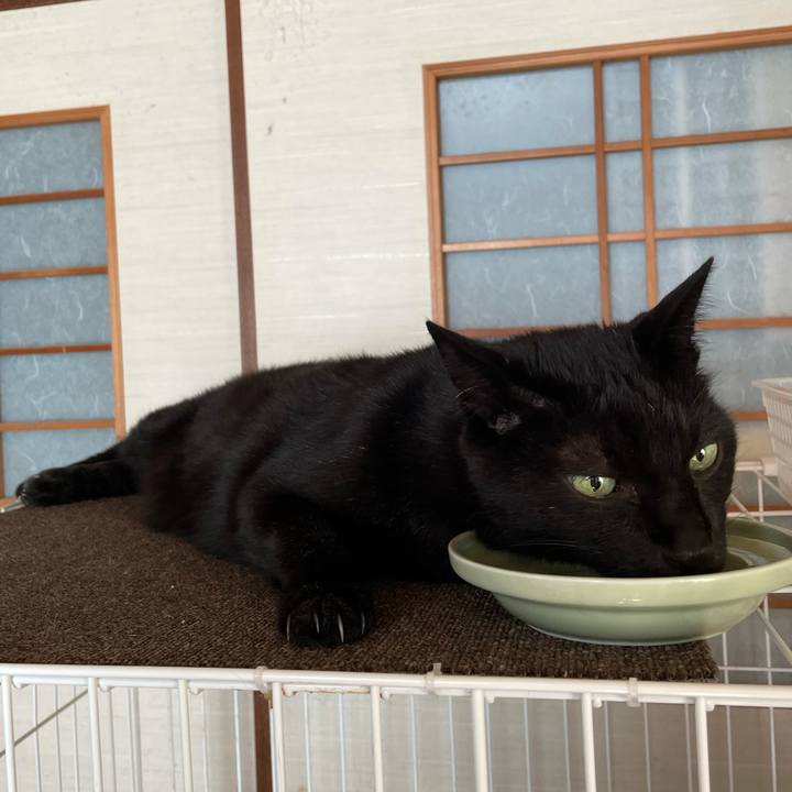 A53b9dea 6132 42d5 9191 054bf9b9948d 1626659195211