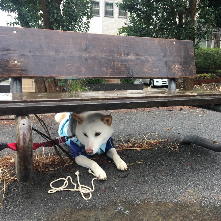 A53bbb4b f2f7 478f a5c6 939190d06a53 1551924868116