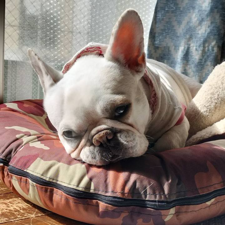 A53bde2d 4e36 4bd1 9c41 2c608ff08828 1675560865287