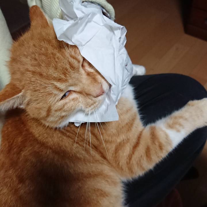 A53be478 6bc4 4f08 8596 2974c0e4f978 1604734199136