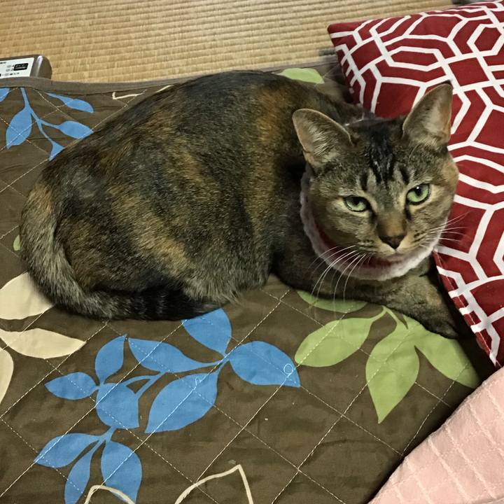 A53c1fe3 2f9b 4e50 a077 086083eb4194 1609893975924