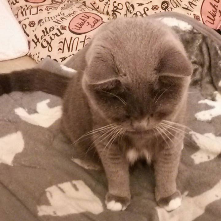 A53c868f c5af 4068 8ee3 75a289a6ae01 1567888186630