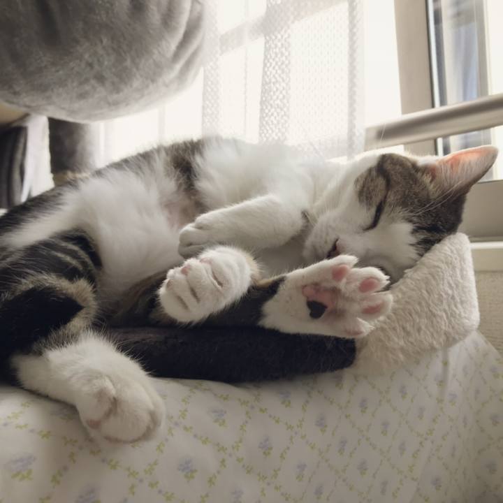 A53c9c25 e5c0 48b9 bf73 cc11ae3da40f 1558766689554