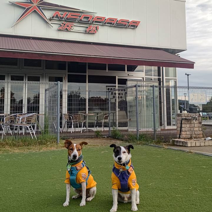 A53ca9e5 3295 4156 b992 82c503f16235 1696631052749