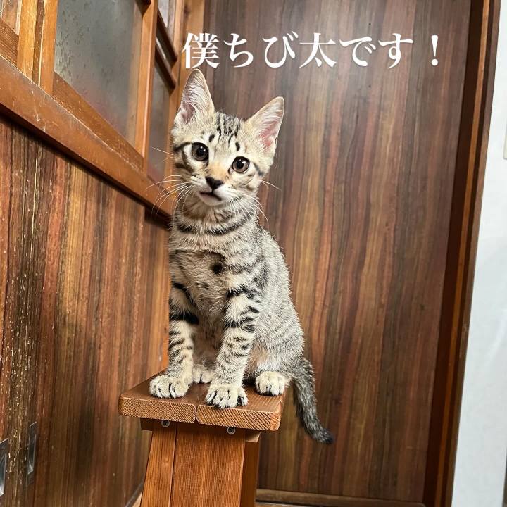 A53cab45 6e63 4590 a66f 6bc1b3548ca6 1752983251133