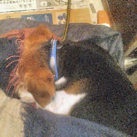 A53cb977 130c 40b4 ab2a f353b802a3c5 1774168768905