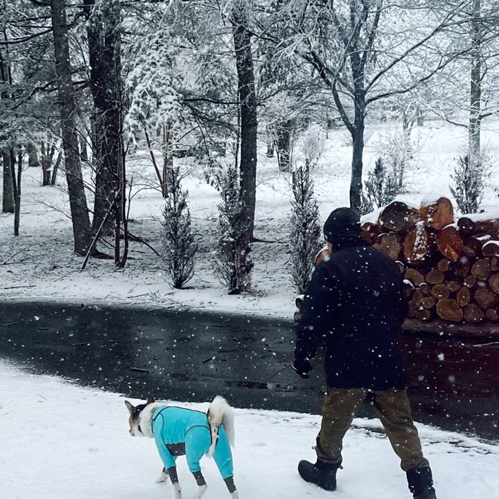 A53ccc73 deb6 4c3f bf79 62e3042f147c 1772503985432