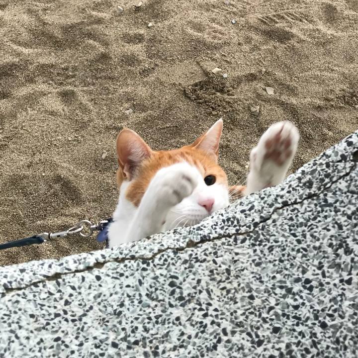 A53d10d7 dfc8 43da ab4e dea3bd31796f 1512464523664