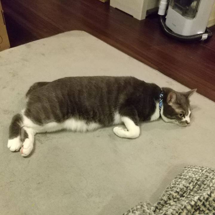 A53d467c 4b7b 4b82 8c8e 9baab48b95a4 1613475874195