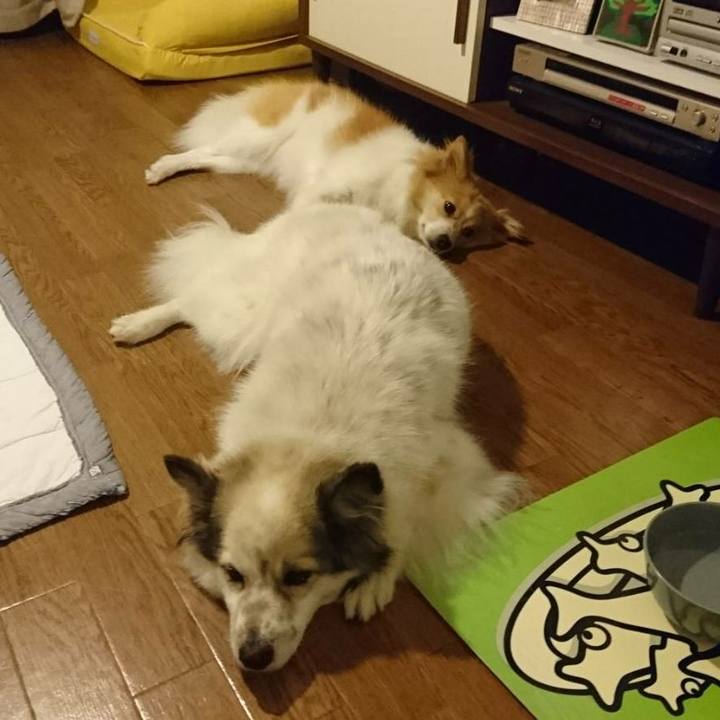 A53d8c26 9acb 4372 8505 5f2c59e8ac0f 1569682411536