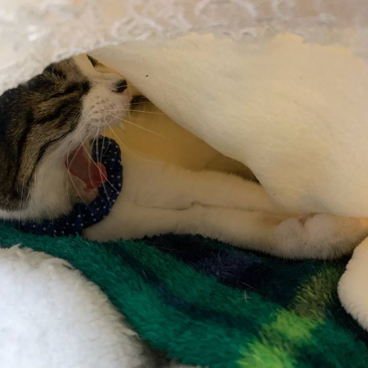 A53d966d 3e11 42c3 876c c9192fb88c3e 1643859711761