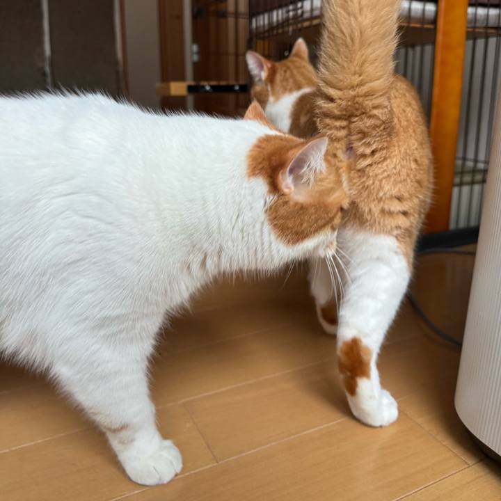 A53da0c0 1d31 42fc a7c4 d16de357b17a 1770776777135