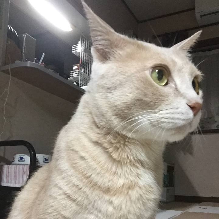 A53da87d 397f 4443 a405 2caac105517a 1523361728822