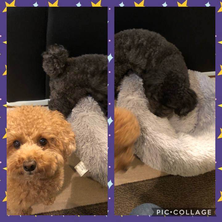 A53db7a0 21c9 498d 8f19 959e928bf95e 1605007246871