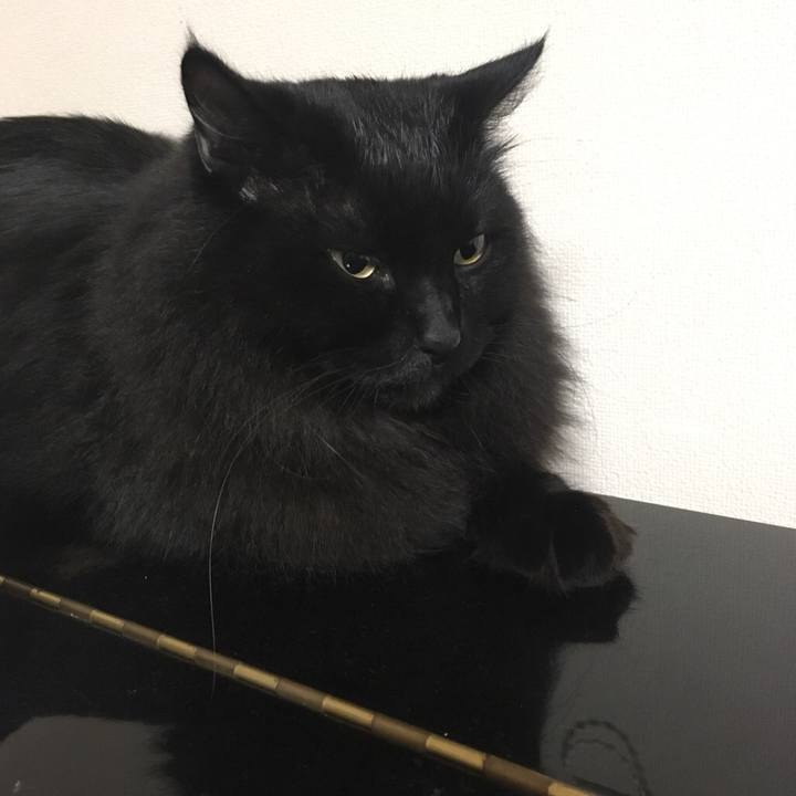 A53dc6f8 6182 4283 ad16 c3ff3ed7930a 1542973807832