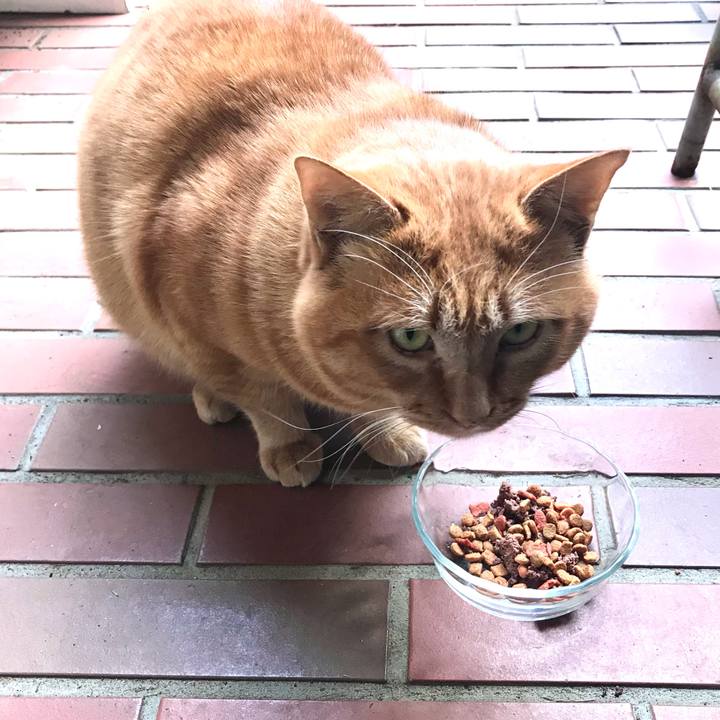 A53dd117 a73c 454c ab18 22dd8f9228a7 1608356030720