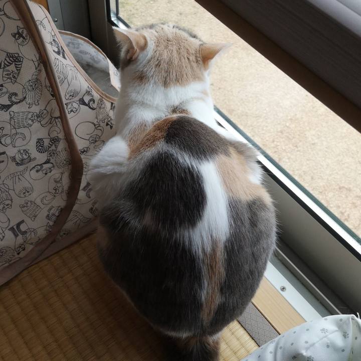 A53dea2f a466 46de 90d1 2442cf8f2c85 1559374416723