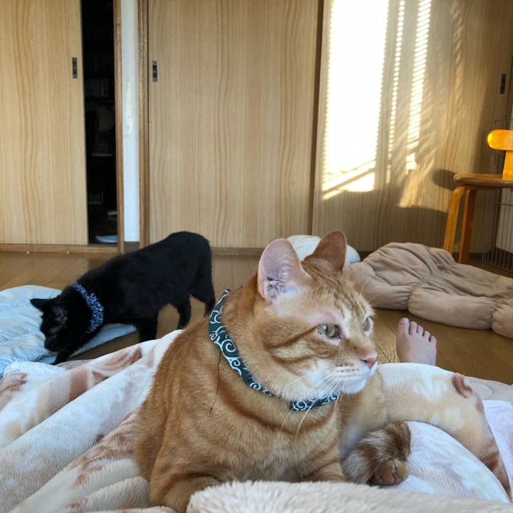 A53e01c3 af22 4139 b574 7505613a86b2 1558039602970