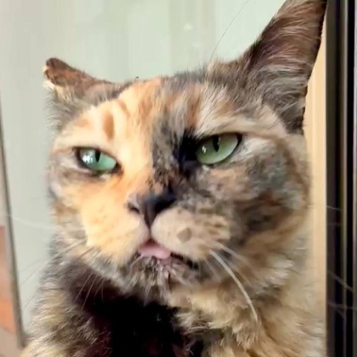 A53e0665 4d85 463d b925 5dd614291152 1747190182242