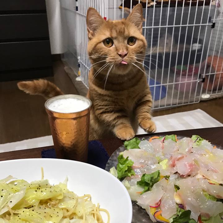 A53e1a85 f510 4bc4 bd8e 874486c23f8d 1526210910078