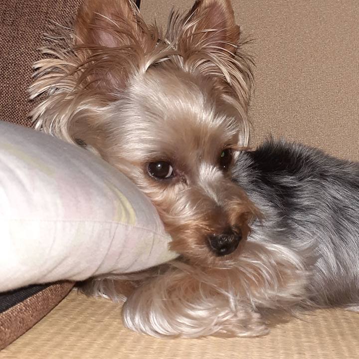 A53e3292 e895 4163 a81b 22087cea08e9 1592995564618