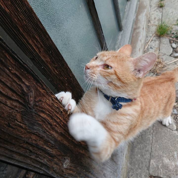 A53e8d8e a5be 45d9 bdc1 6babd31b4002 1560764336419