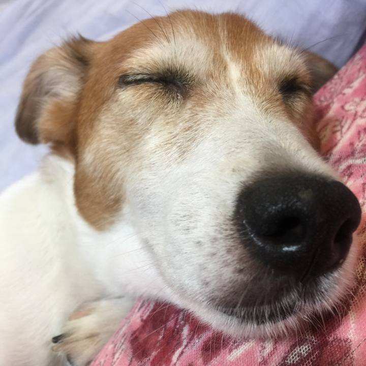 A53e9a0f bbb4 432e 98c9 a5e59e07a6f3 1532240950960