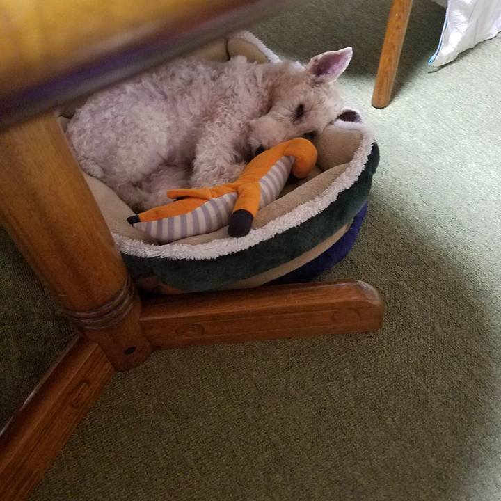 A53ebc22 6d03 4f2b 911e cacbe98cdeb5 1543361268883