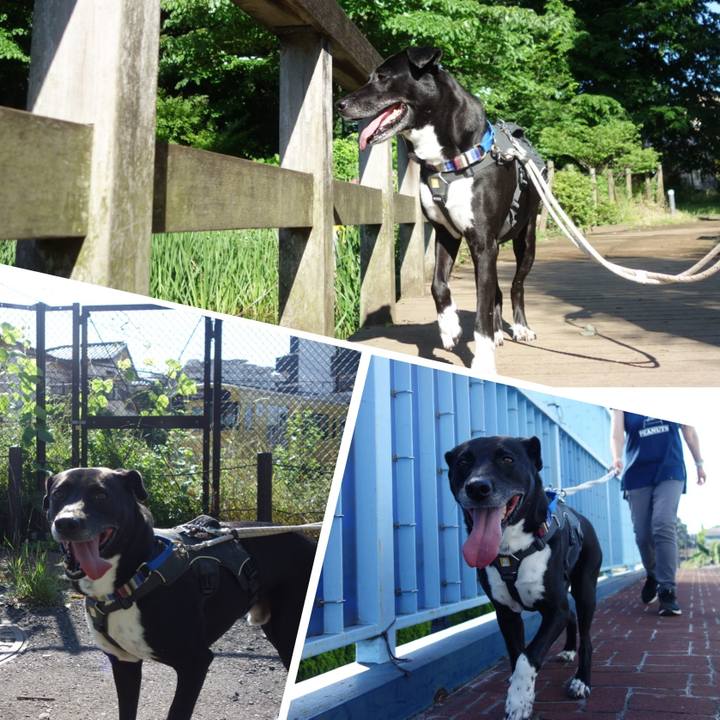 A53eccb1 2c0f 4988 9622 9492df4c1abe 1653698683444