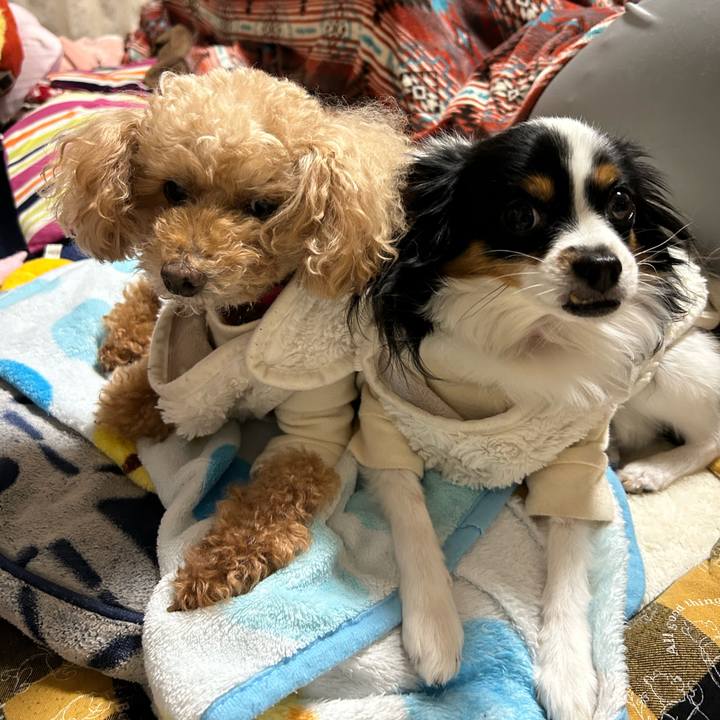 A53ee567 c42f 43d3 bbd3 a72a65511568 1767474413571