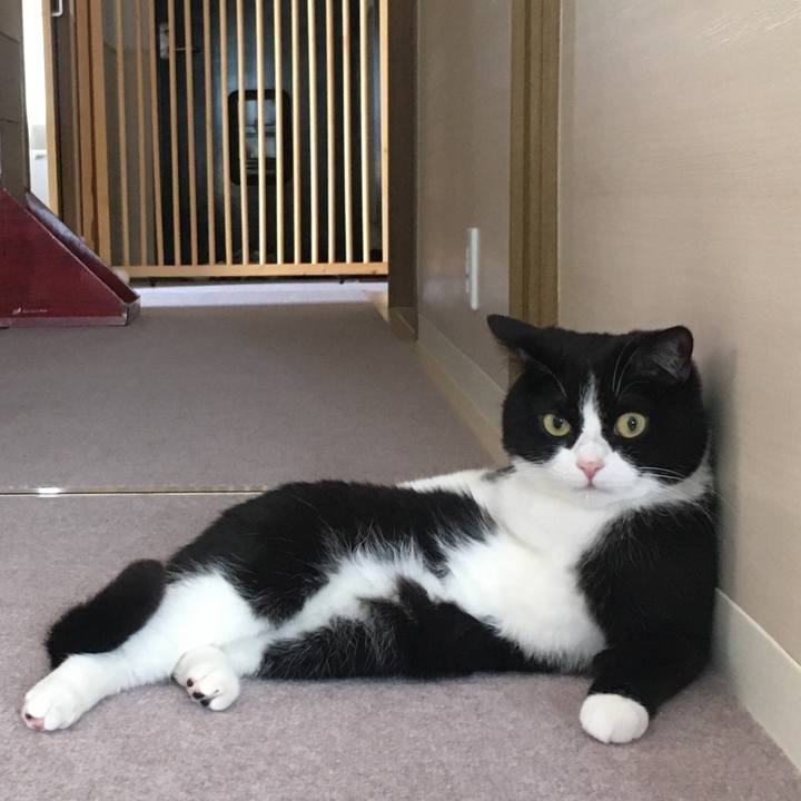 A53efbcc c289 4e78 ac73 fd7141e1a402 1620530828791