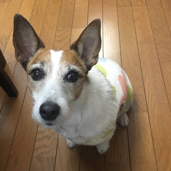 A53f1e3c 0741 40f5 9730 7c40dd5e1061 1586389295479