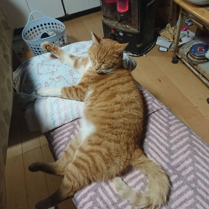 A53f3f94 ed3f 4bb7 9147 639327177361 1606547350974