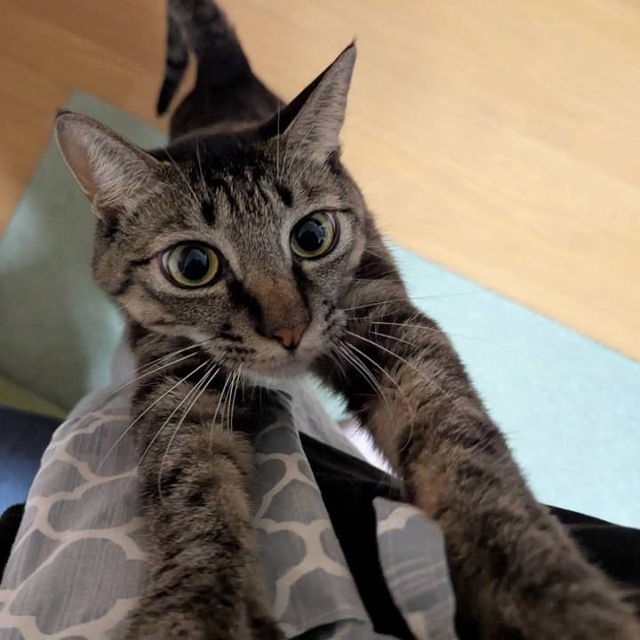 A53f432e e66b 42a4 bbdb 4c10047cadf9 1734865543261