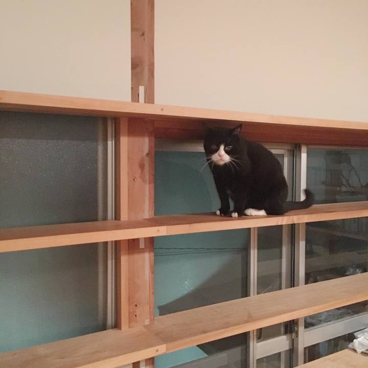 A53f452d 05da 44e2 bc23 225f66f9e7db 1537970819823