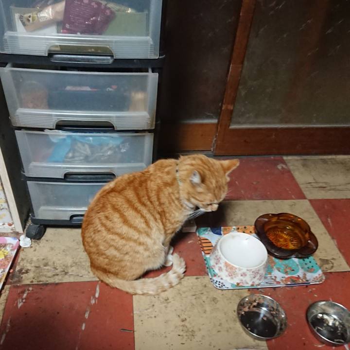 A53f603a feda 49e0 ab08 d987ce1e2f66 1584561942350