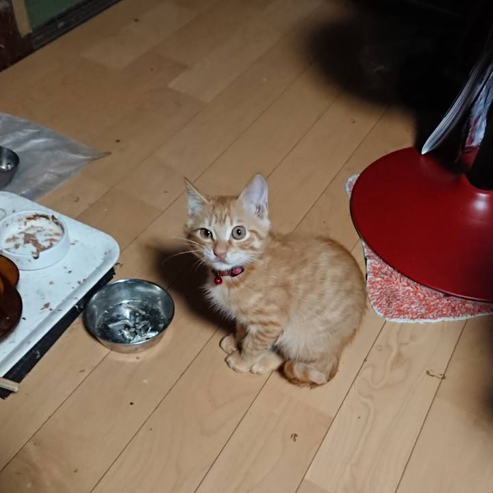 A53f6a7b f8e7 48ba 89ed 3da76f8da613 1632428131099