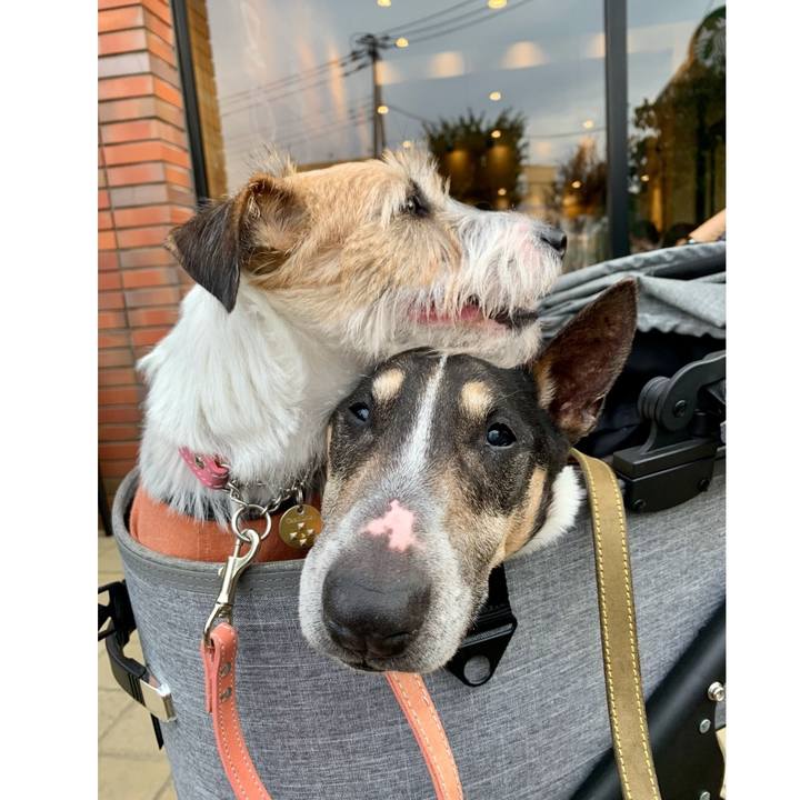 A53f7544 8b5c 41b6 b08f 85dcab76ff7f 1622896061436