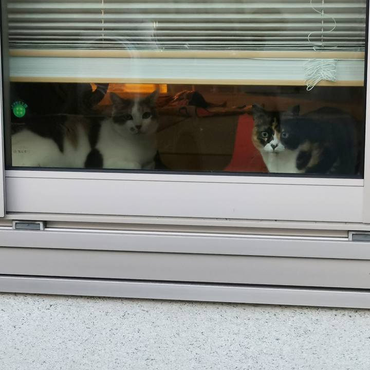 A53fb9d8 0777 4fb3 910d 90a691debdfa 1683962366804