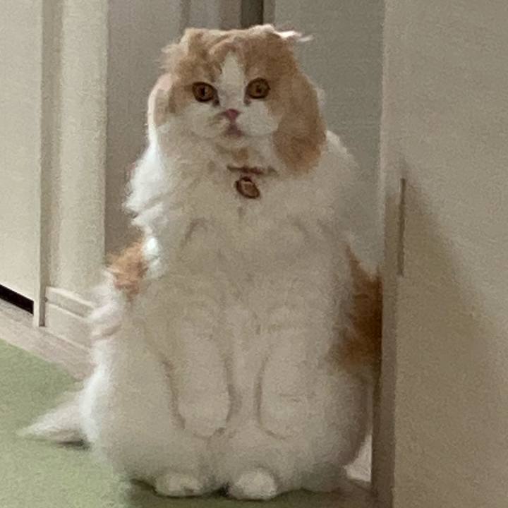 A53fd151 2650 4553 ae60 f3d2513e906a 1632356965057