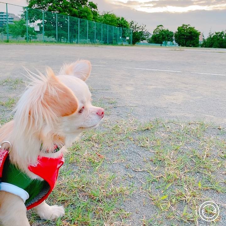 A53fe519 c783 4f4b 892b c32b3c96cba1 1623581711669