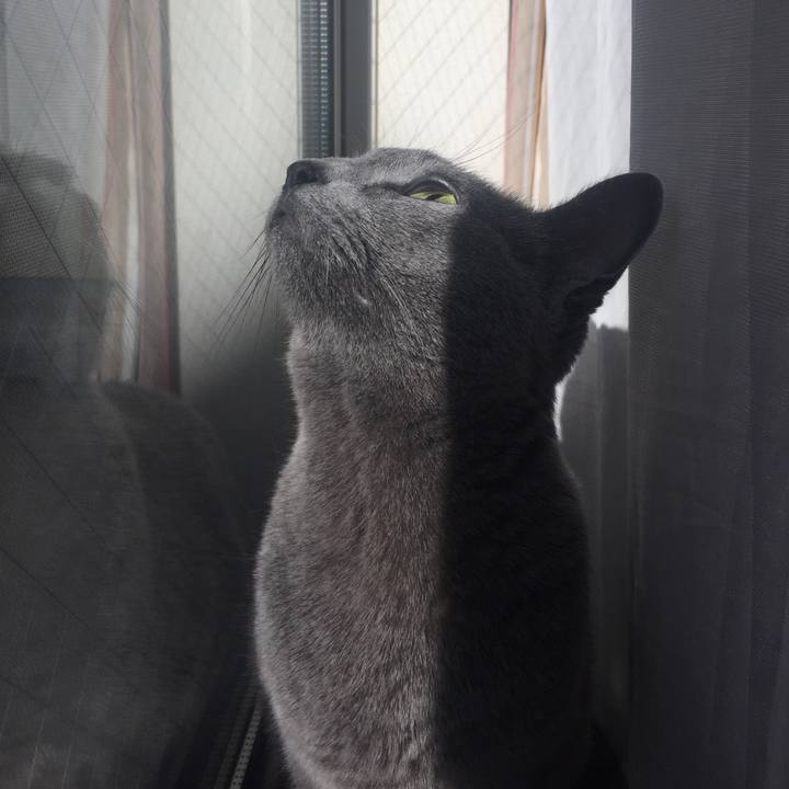 A53fe702 d636 4eab 891d c6bc6ad6ef00 1547446014873